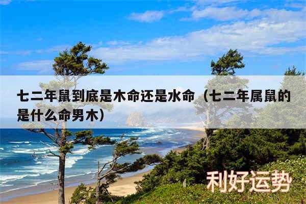 七二年鼠到底是木命还是水命以及七二年属鼠的是什么命男木