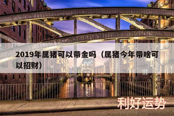 2019年属猪可以带金吗以及属猪今年带啥可以招财