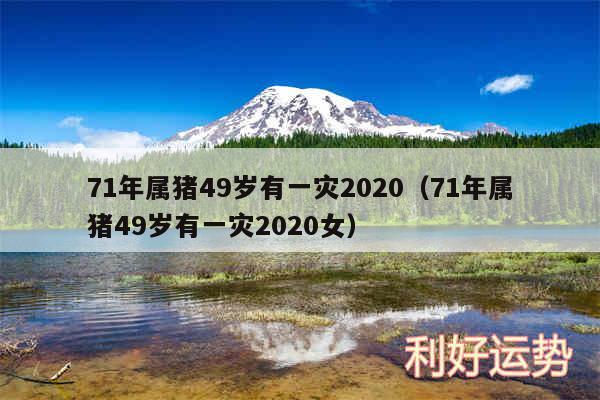 71年属猪49岁有一灾2020以及71年属猪49岁有一灾2020女