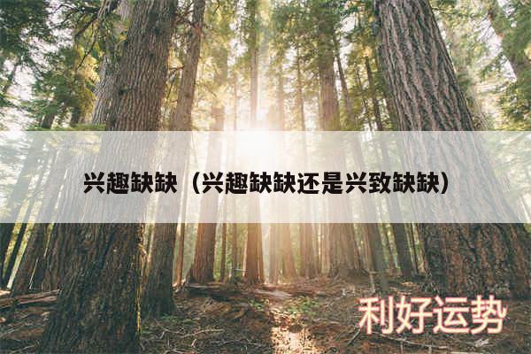 兴趣缺缺以及兴趣缺缺还是兴致缺缺