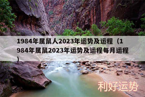 1984年属鼠人2024年运势及运程以及1984年属鼠2024年运势及运程每月运程