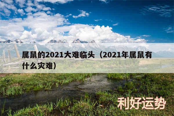 属鼠的2024大难临头以及2024年属鼠有什么灾难