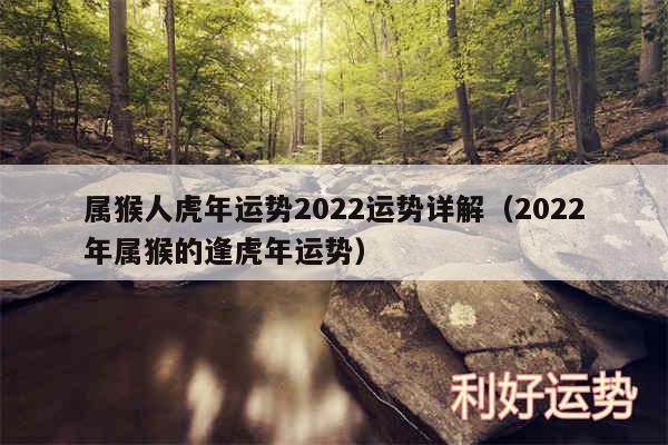 属猴人虎年运势2024运势详解以及2024年属猴的逢虎年运势