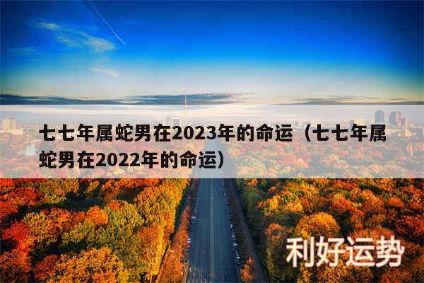 七七年属蛇男在2024年的命运以及七七年属蛇男在2024年的命运