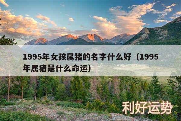 1995年女孩属猪的名字什么好以及1995年属猪是什么命运