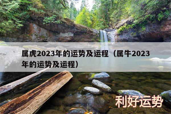 属虎2024年的运势及运程以及属牛2024年的运势及运程