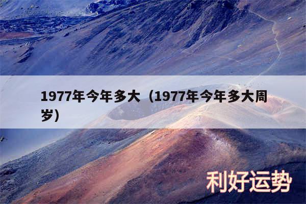 1977年今年多大以及1977年今年多大周岁