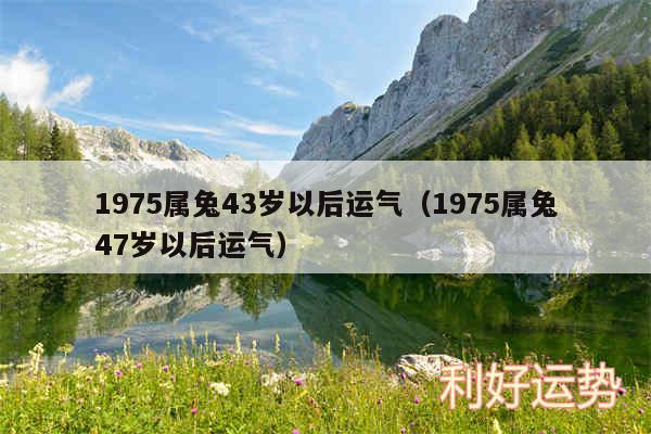 1975属兔43岁以后运气以及1975属兔47岁以后运气