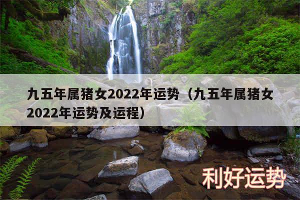 九五年属猪女2024年运势以及九五年属猪女2024年运势及运程