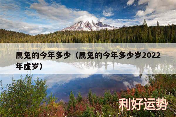 属兔的今年多少以及属兔的今年多少岁2024年虚岁