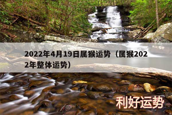 2024年4月19日属猴运势以及属猴2024年整体运势