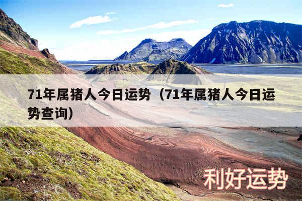 71年属猪人今日运势以及71年属猪人今日运势查询