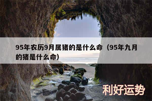 95年农历9月属猪的是什么命以及95年九月的猪是什么命