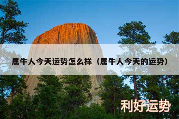 属牛人今天运势怎么样以及属牛人今天的运势