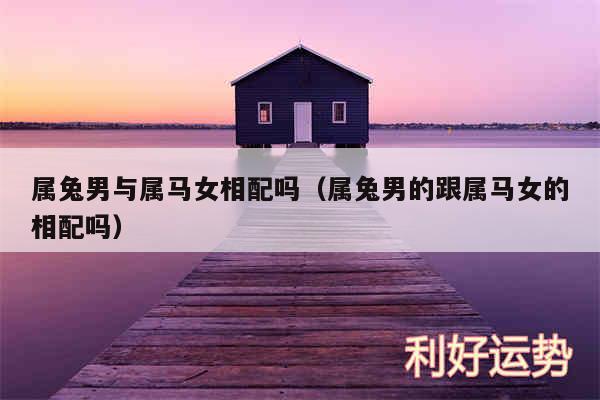 属兔男与属马女相配吗以及属兔男的跟属马女的相配吗