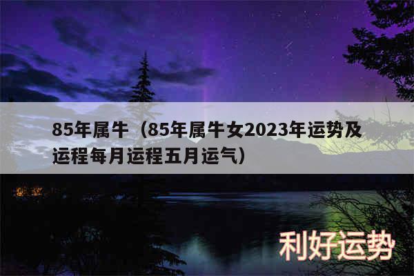 85年属牛以及85年属牛女2024年运势及运程每月运程五月运气