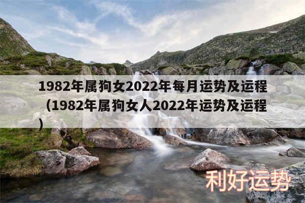 1982年属狗女2024年每月运势及运程以及1982年属狗女人2024年运势及运程