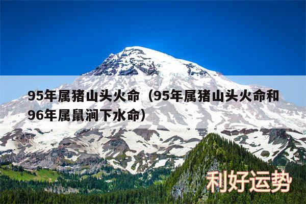 95年属猪山头火命以及95年属猪山头火命和96年属鼠涧下水命