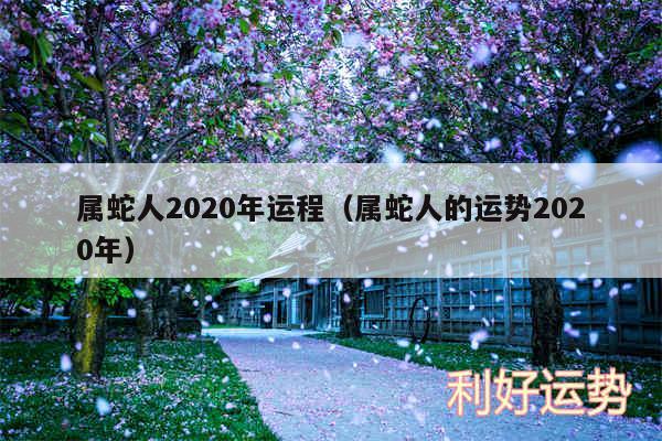 属蛇人2020年运程以及属蛇人的运势2020年