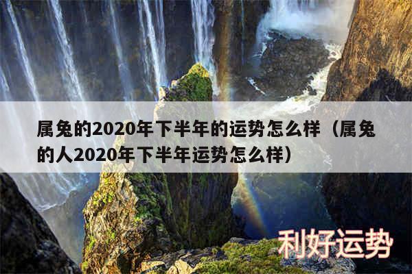 属兔的2020年下半年的运势怎么样以及属兔的人2020年下半年运势怎么样