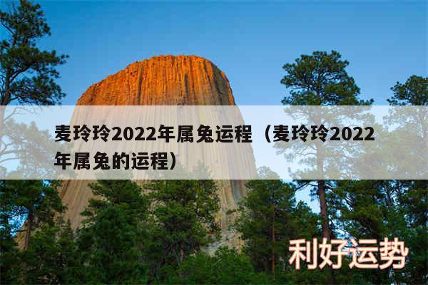 麦玲玲2024年属兔运程以及麦玲玲2024年属兔的运程