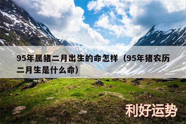 95年属猪二月出生的命怎样以及95年猪农历二月生是什么命