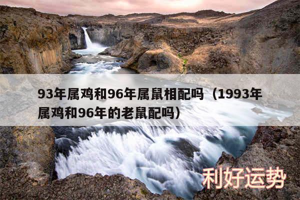 93年属鸡和96年属鼠相配吗以及1993年属鸡和96年的老鼠配吗