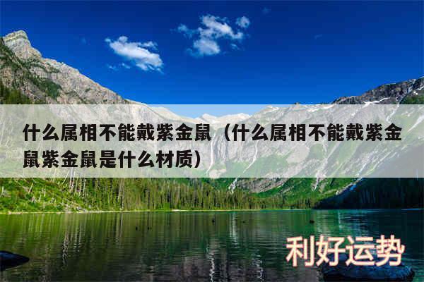 什么属相不能戴紫金鼠以及什么属相不能戴紫金鼠紫金鼠是什么材质