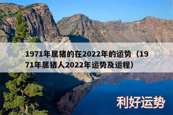 1971年属猪的在2024年的运势以及1971年属猪人2024年运势及运程