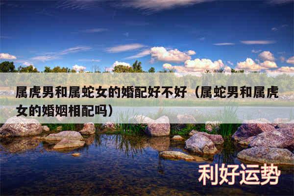 属虎男和属蛇女的婚配好不好以及属蛇男和属虎女的婚姻相配吗