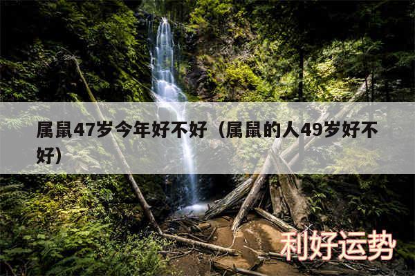 属鼠47岁今年好不好以及属鼠的人49岁好不好