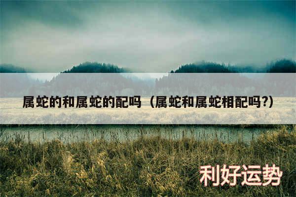 属蛇的和属蛇的配吗以及属蛇和属蛇相配吗?