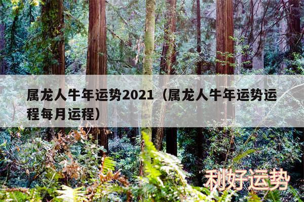 属龙人牛年运势2024以及属龙人牛年运势运程每月运程