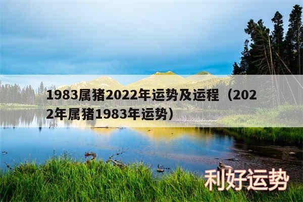 1983属猪2024年运势及运程以及2024年属猪1983年运势