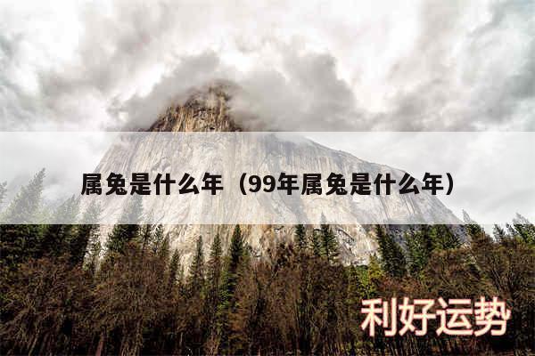 属兔是什么年以及99年属兔是什么年