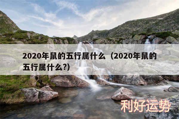 2020年鼠的五行属什么以及2020年鼠的五行属什么?