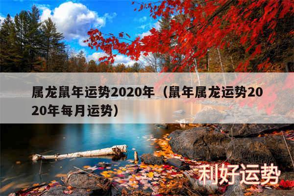 属龙鼠年运势2020年以及鼠年属龙运势2020年每月运势