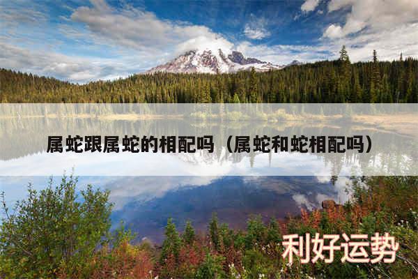 属蛇跟属蛇的相配吗以及属蛇和蛇相配吗