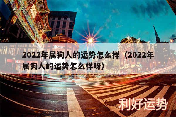 2024年属狗人的运势怎么样以及2024年属狗人的运势怎么样呀