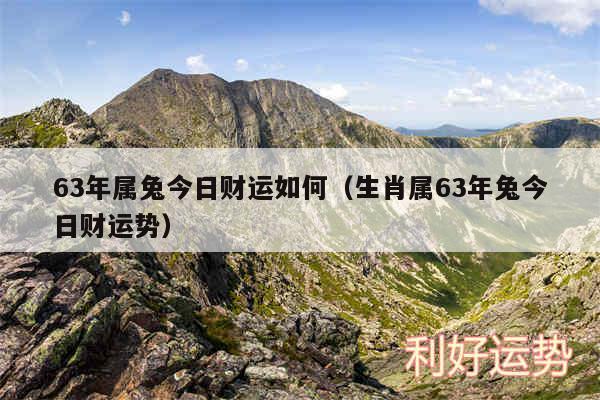 63年属兔今日财运如何以及生肖属63年兔今日财运势