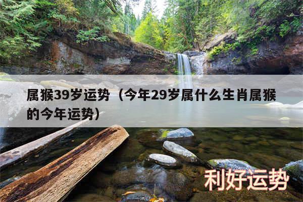 属猴39岁运势以及今年29岁属什么生肖属猴的今年运势