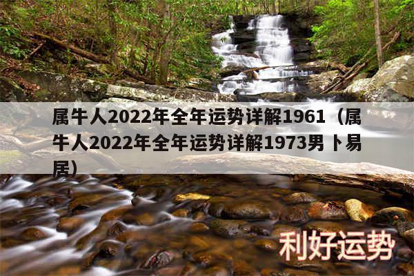 属牛人2024年全年运势详解1961以及属牛人2024年全年运势详解1973男卜易居