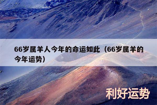 66岁属羊人今年的命运如此以及66岁属羊的今年运势