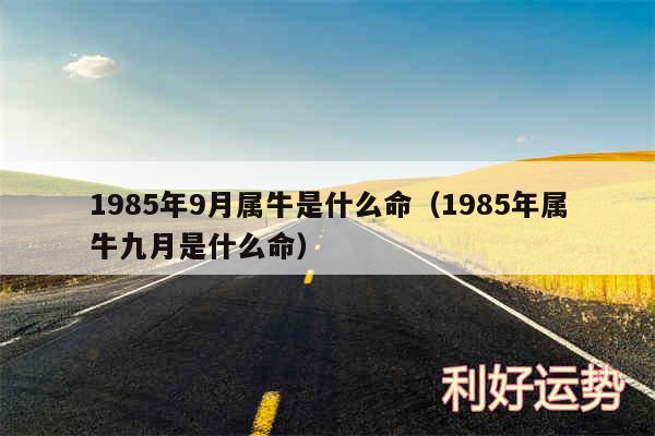 1985年9月属牛是什么命以及1985年属牛九月是什么命