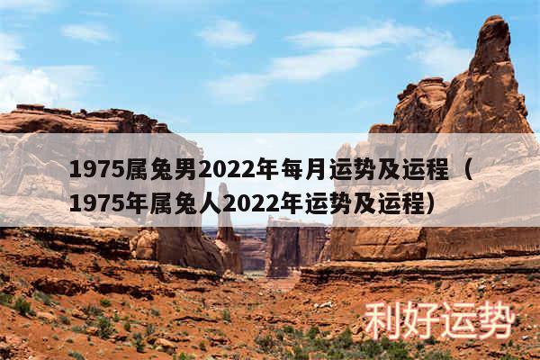 1975属兔男2024年每月运势及运程以及1975年属兔人2024年运势及运程