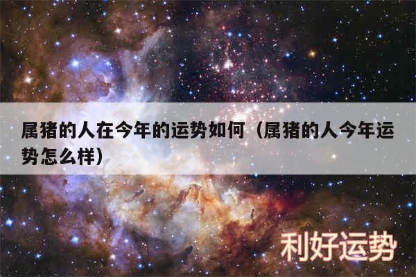 属猪的人在今年的运势如何以及属猪的人今年运势怎么样