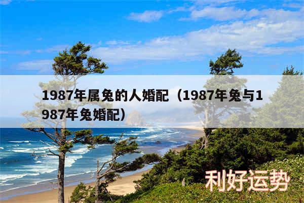 1987年属兔的人婚配以及1987年兔与1987年兔婚配