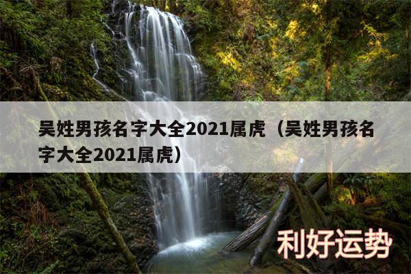 吴姓男孩名字大全2024属虎以及吴姓男孩名字大全2024属虎