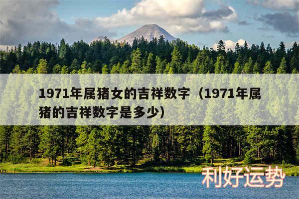 1971年属猪女的吉祥数字以及1971年属猪的吉祥数字是多少