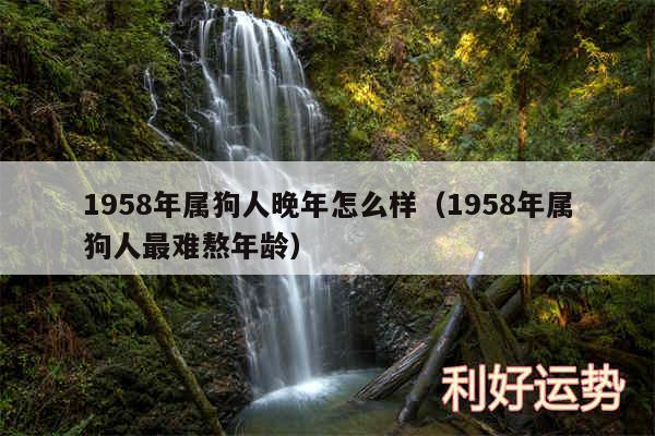 1958年属狗人晚年怎么样以及1958年属狗人最难熬年龄